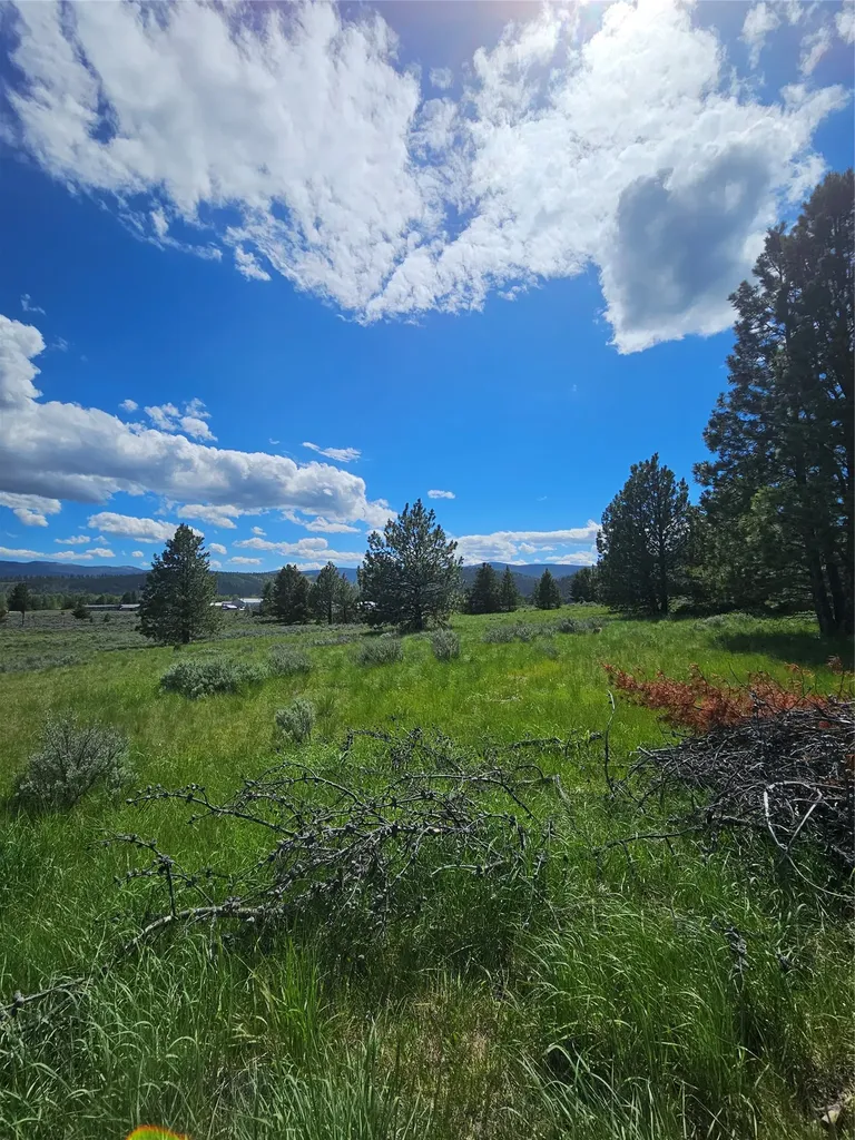 1720 High Chapparal Drive Lincoln MT 59639
