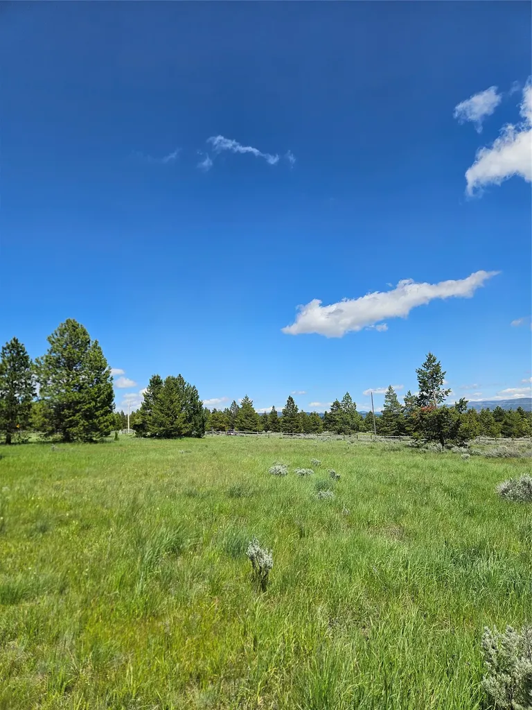 1720 High Chapparal Drive Lincoln MT 59639