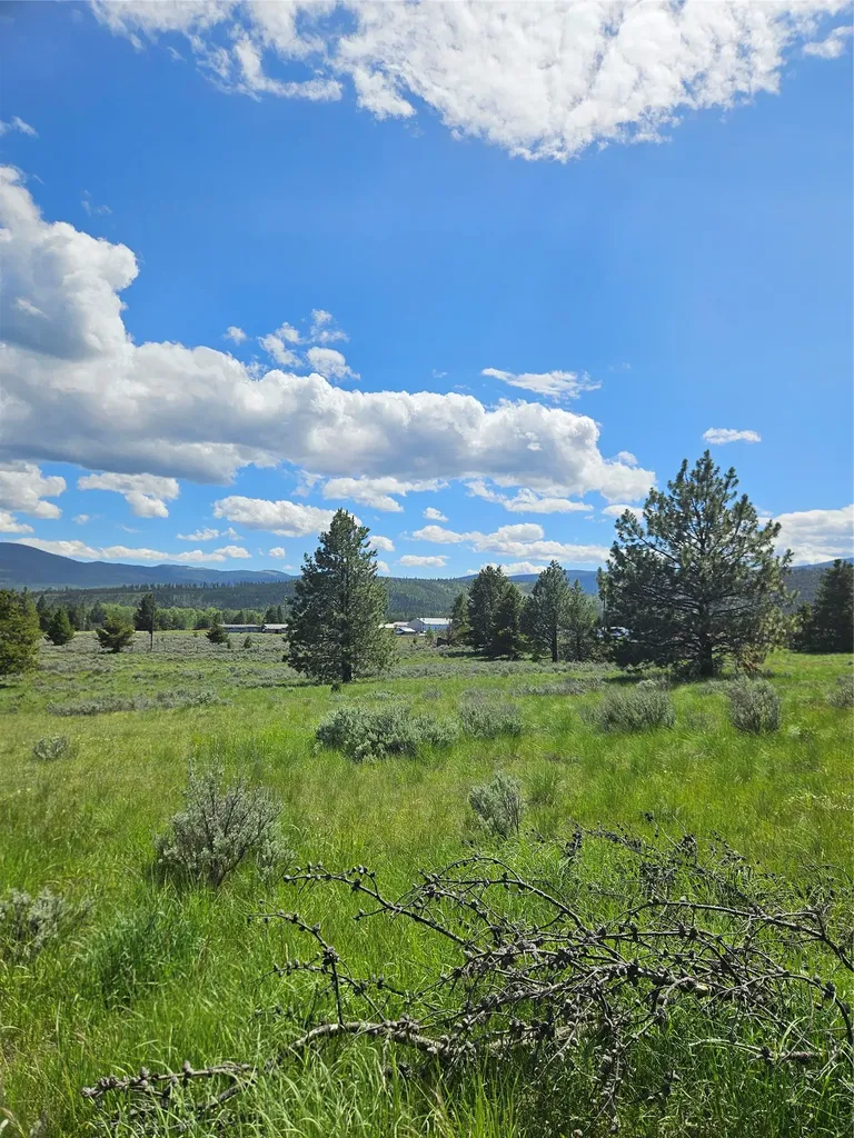 1720 High Chapparal Drive Lincoln MT 59639