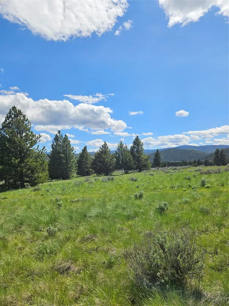 1720 High Chapparal Drive Lincoln MT 59639