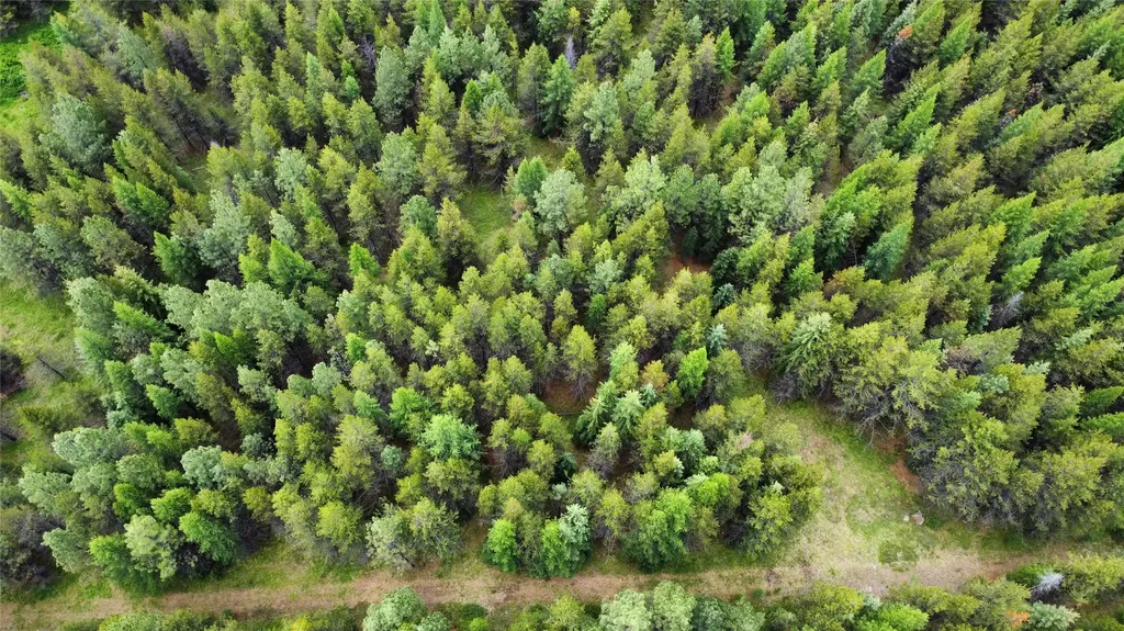 28341 Yaak River Road Troy MT 59935