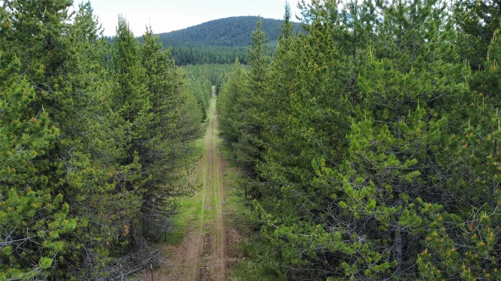 28341 Yaak River Road Troy MT 59935