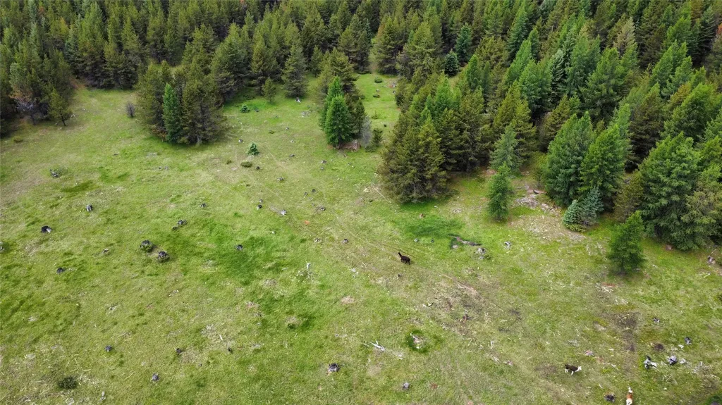 28341 Yaak River Road Troy MT 59935