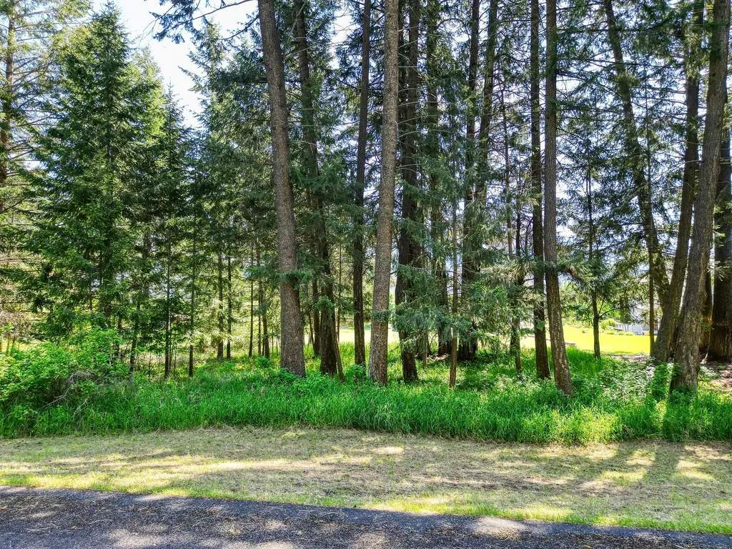 27 Wilson Drive Kalispell MT 59901
