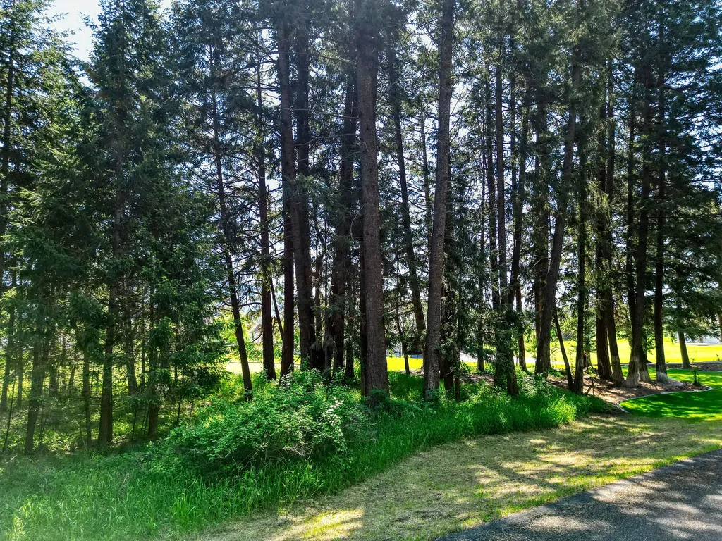 27 Wilson Drive Kalispell MT 59901