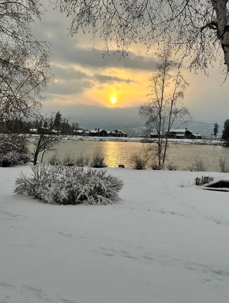 225 Siderius Lane Bigfork MT 59911
