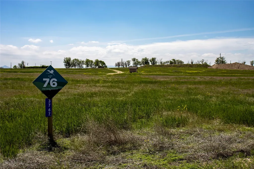 3767 Beargrass Court Helena MT 59602