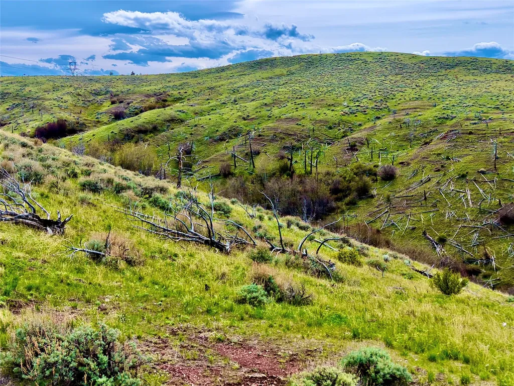 0 Ridge Road Townsend MT 59644