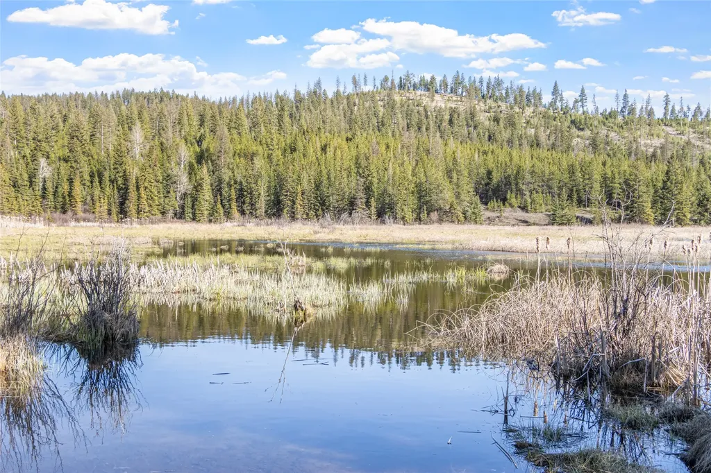 1500 Hodge Creek Road Kila MT 59920