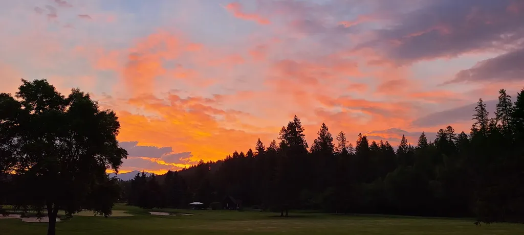 183 Golf Terrace Bigfork MT 59911
