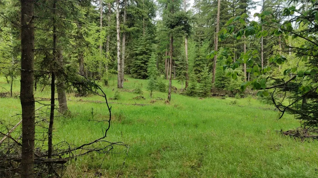424 Whitebear Road Kila MT 59920