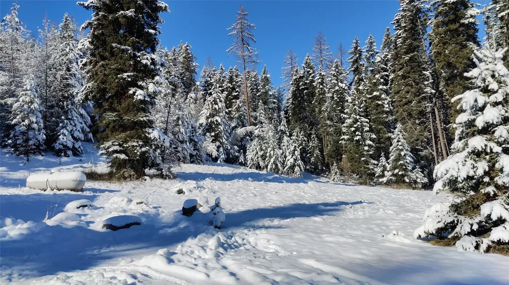 424 Whitebear Road Kila MT 59920
