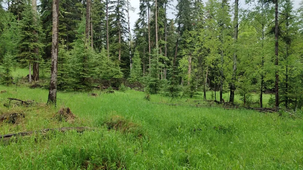 424 Whitebear Road Kila MT 59920