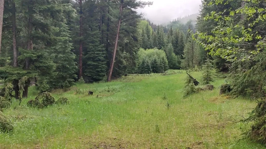 424 Whitebear Road Kila MT 59920