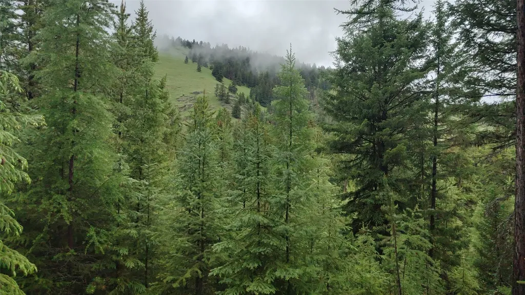 424 Whitebear Road Kila MT 59920