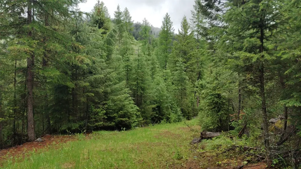 424 Whitebear Road Kila MT 59920