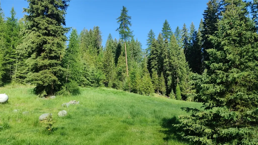424 Whitebear Road Kila MT 59920