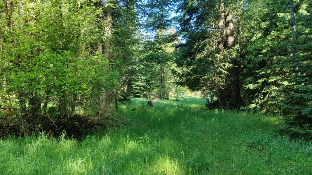 424 Whitebear Road Kila MT 59920