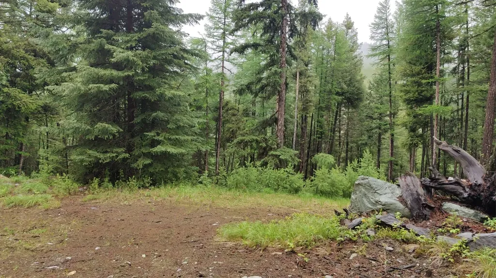 424 Whitebear Road Kila MT 59920
