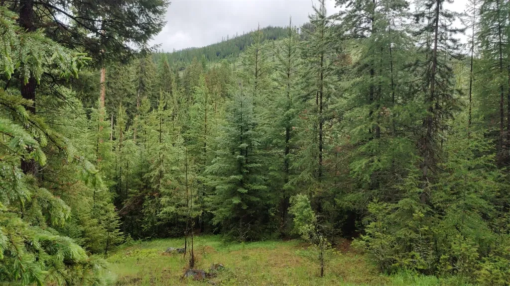 424 Whitebear Road Kila MT 59920