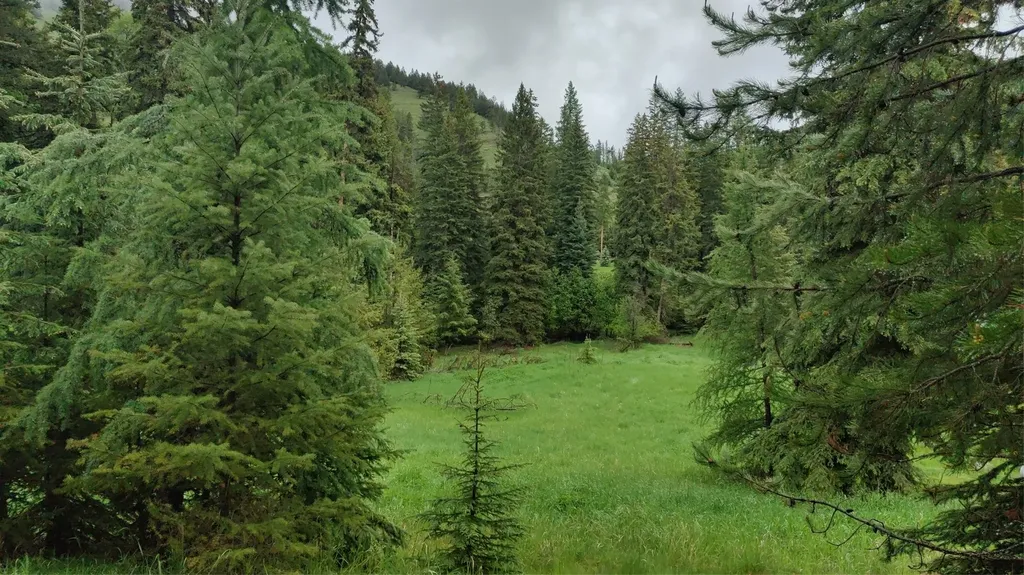 424 Whitebear Road Kila MT 59920