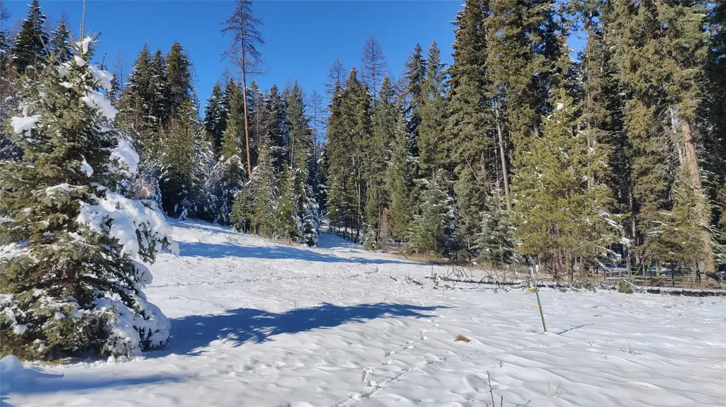 424 Whitebear Road Kila MT 59920