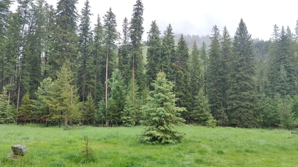 424 Whitebear Road Kila MT 59920