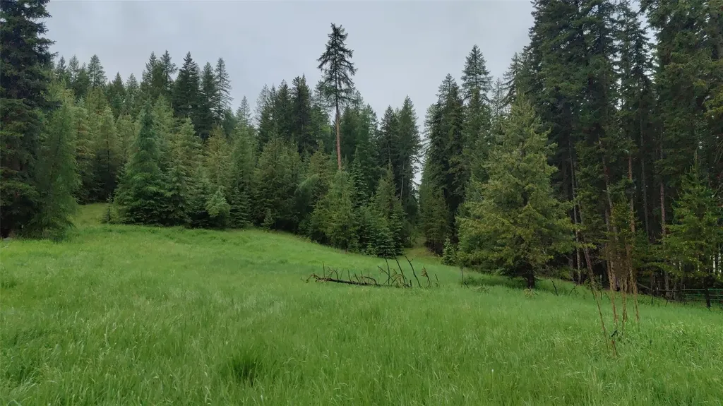 424 Whitebear Road Kila MT 59920
