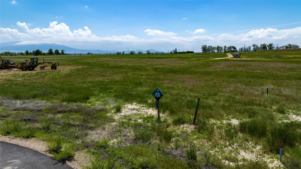 3771 Beargrass Court Helena MT 59602