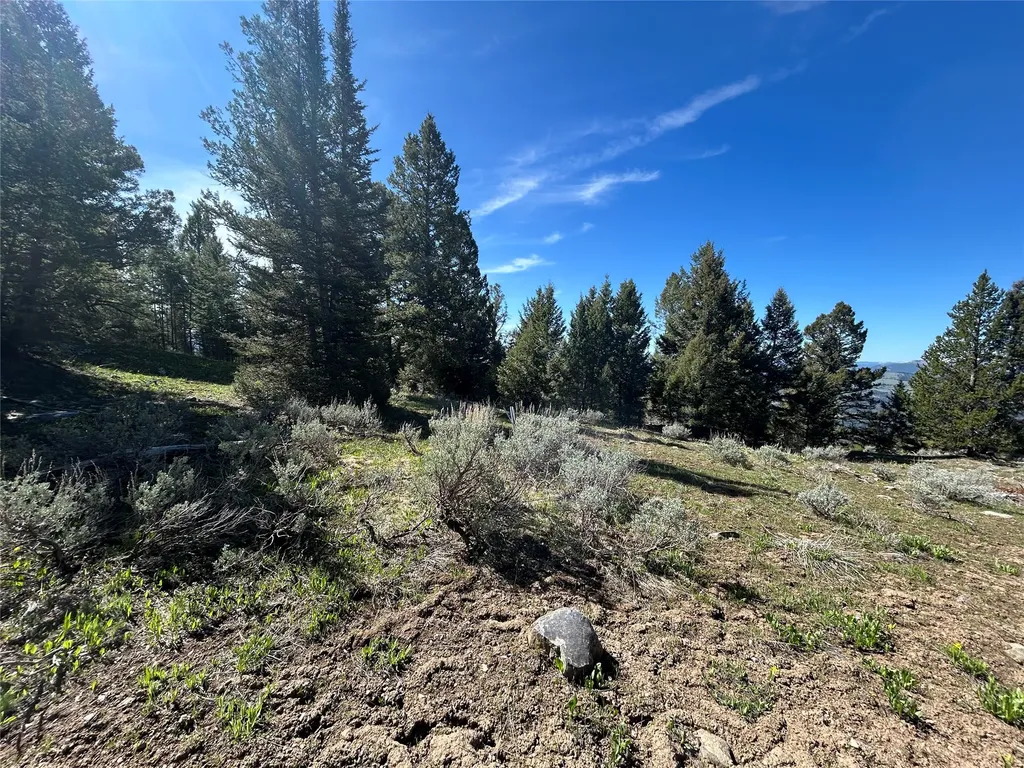 384 Crevice Mountain Road Gardiner MT 59030