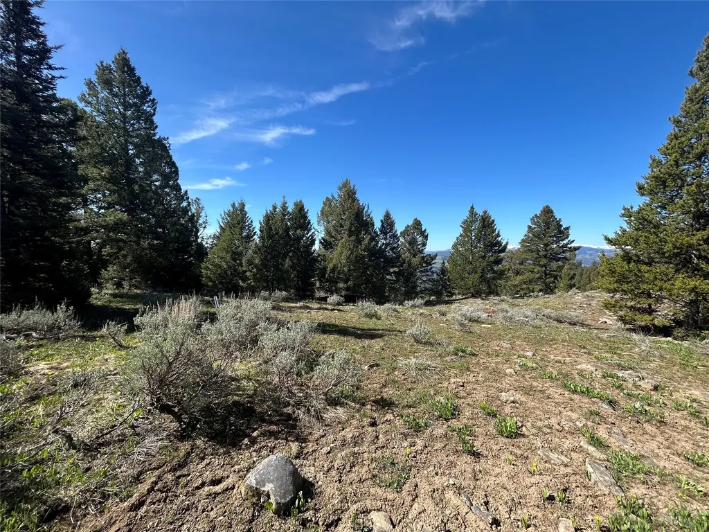 384 Crevice Mountain Road Gardiner MT 59030