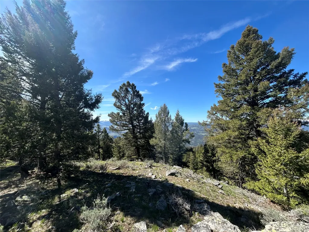 384 Crevice Mountain Road Gardiner MT 59030