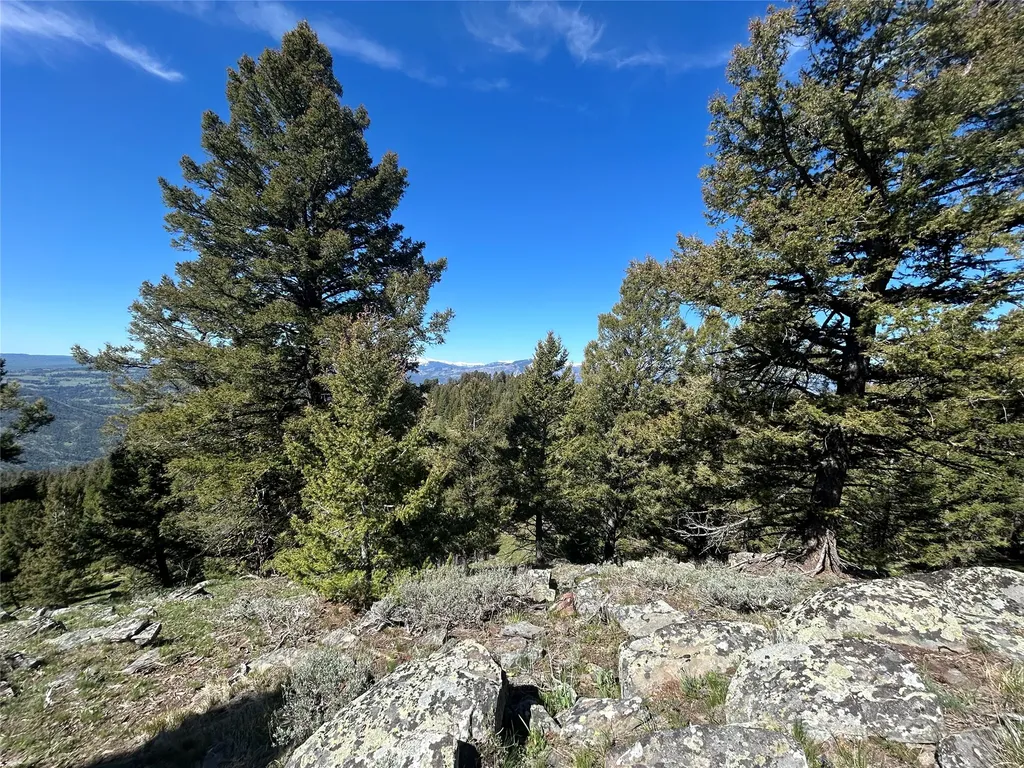 384 Crevice Mountain Road Gardiner MT 59030