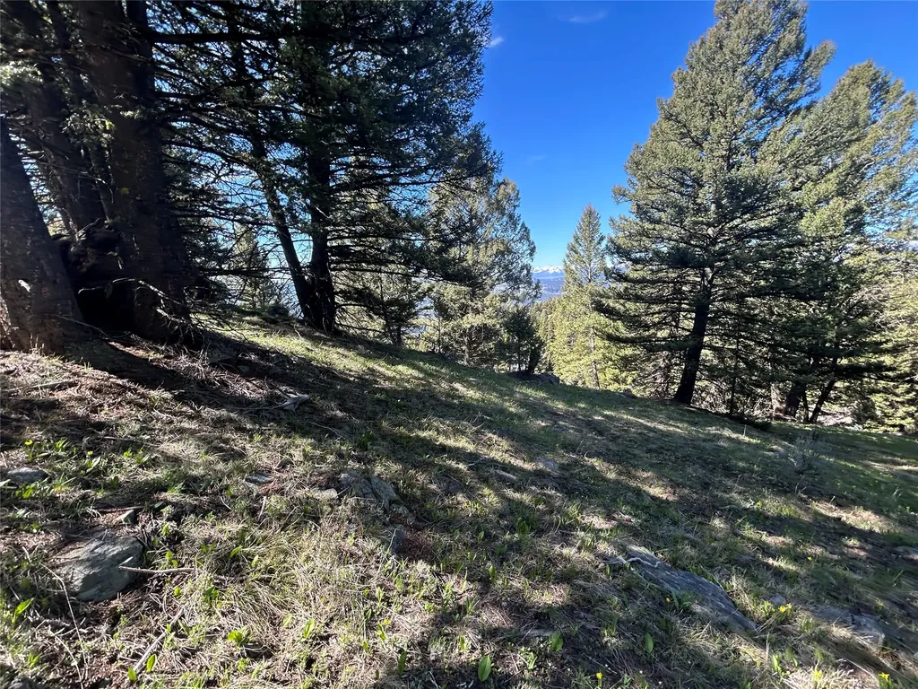 384 Crevice Mountain Road Gardiner MT 59030