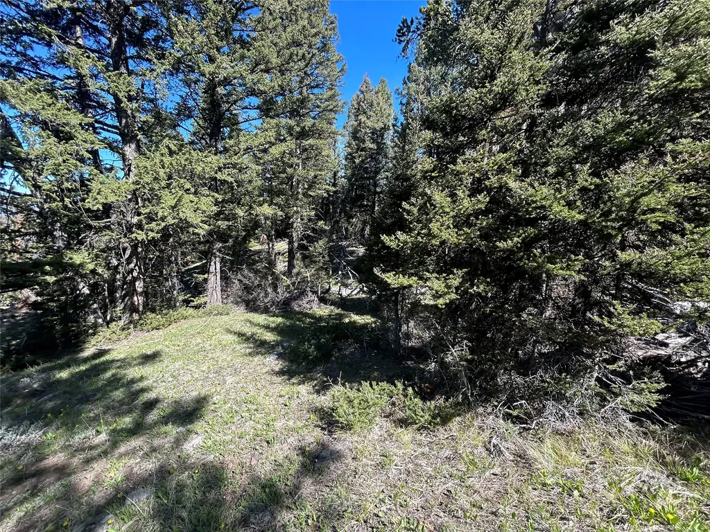 384 Crevice Mountain Road Gardiner MT 59030