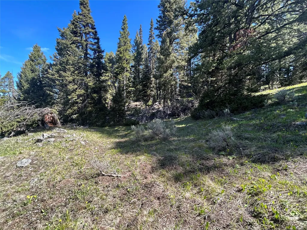 384 Crevice Mountain Road Gardiner MT 59030