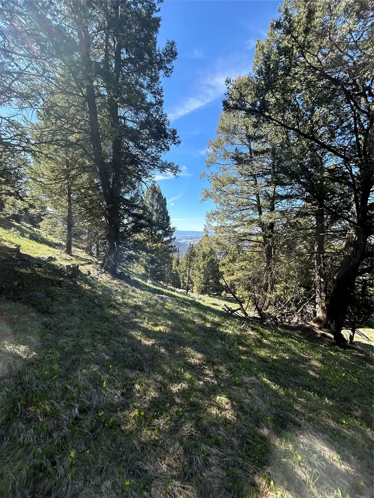 384 Crevice Mountain Road Gardiner MT 59030