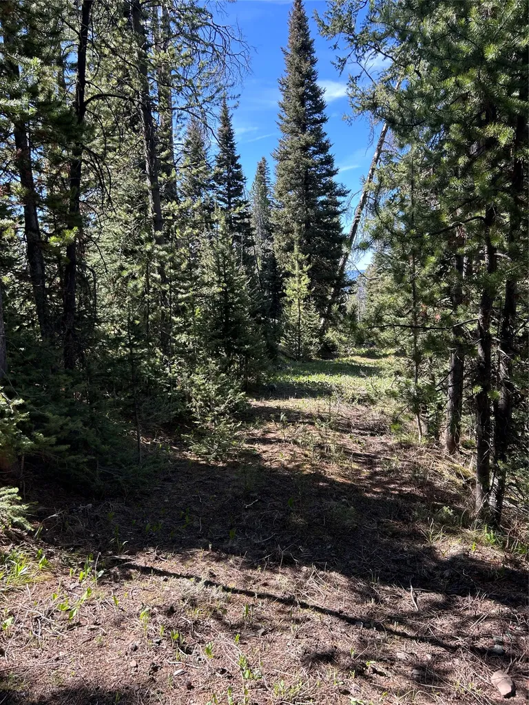 384 Crevice Mountain Road Gardiner MT 59030