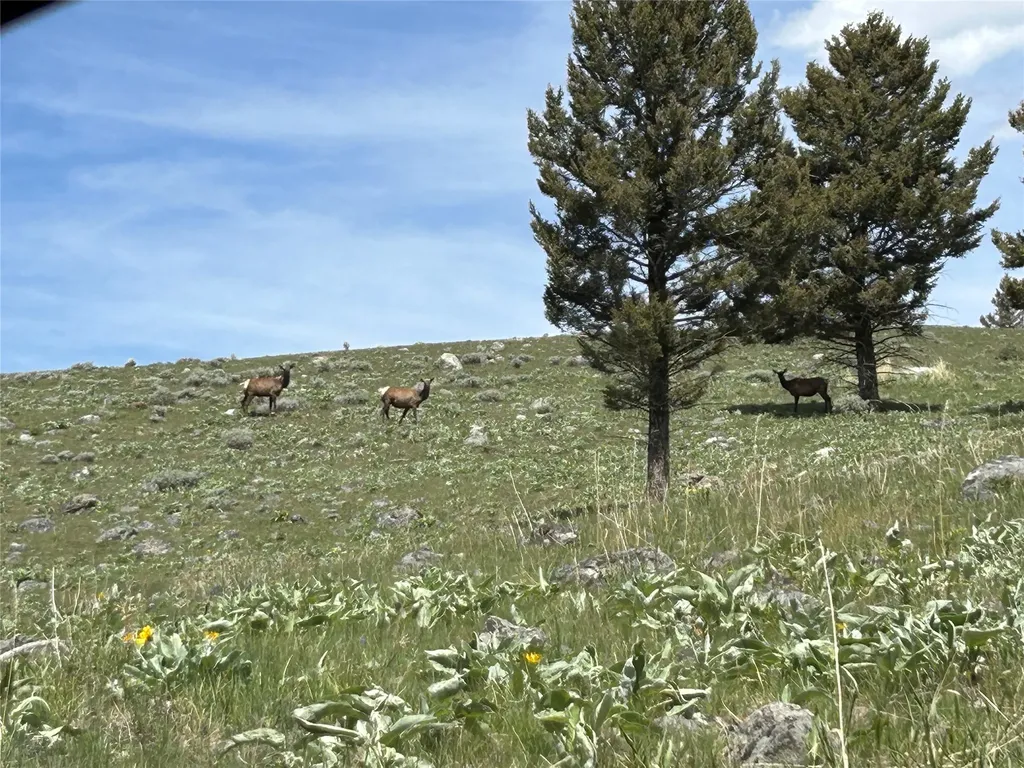 384 Crevice Mountain Road Gardiner MT 59030