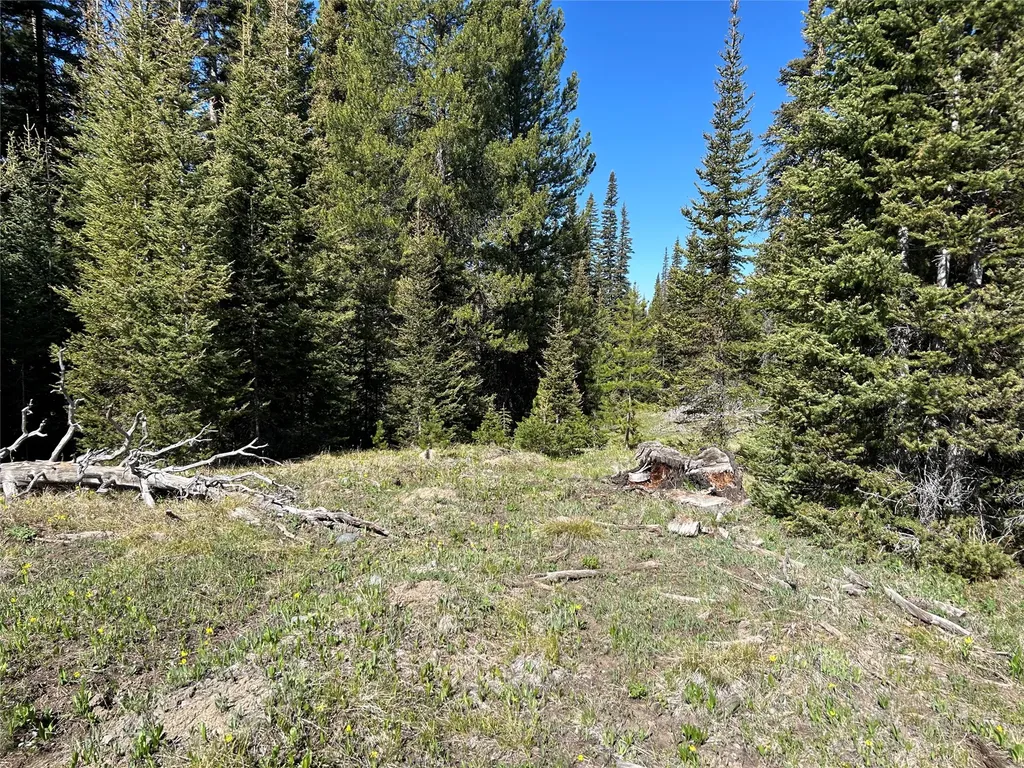 384 Crevice Mountain Road Gardiner MT 59030