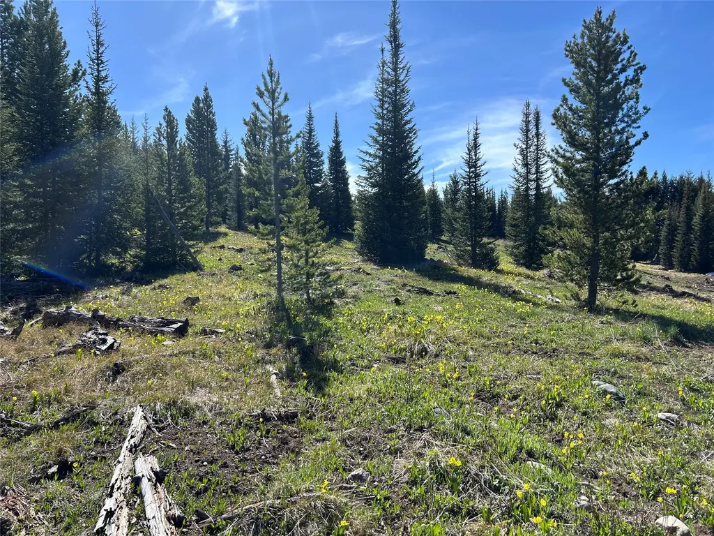 384 Crevice Mountain Road Gardiner MT 59030