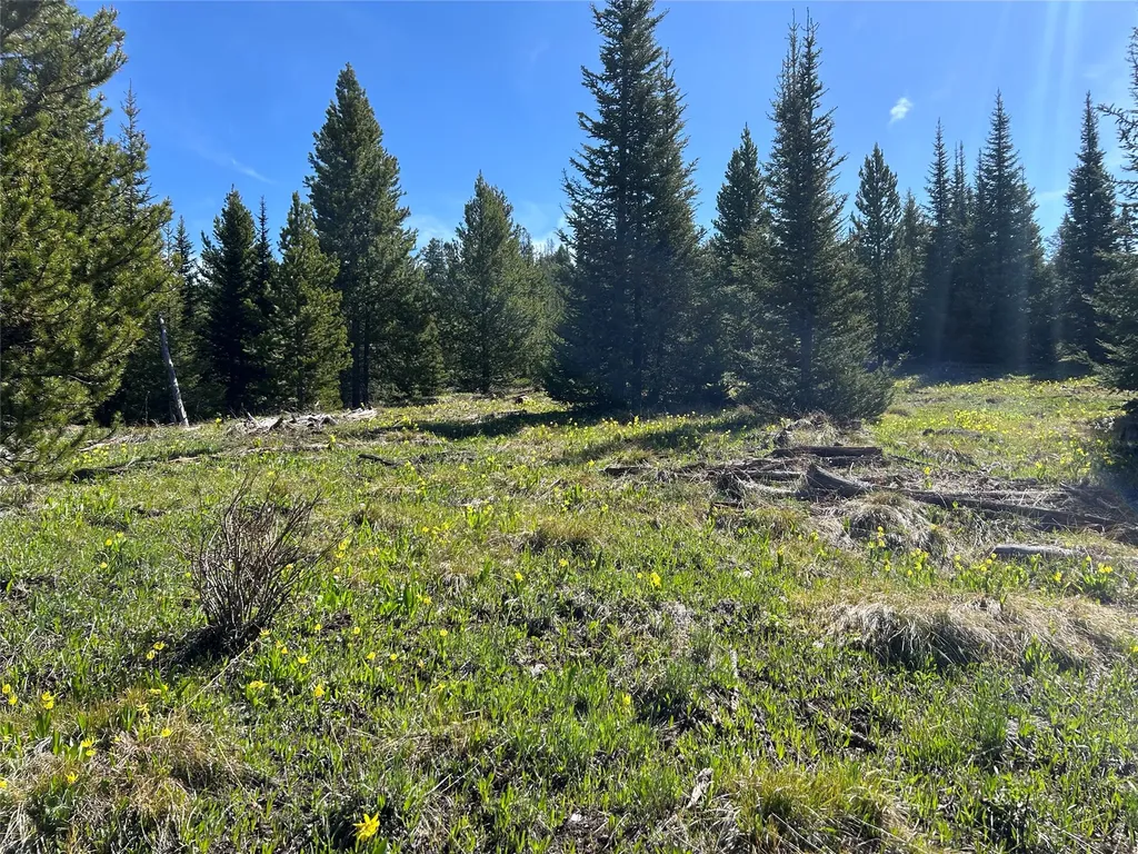 384 Crevice Mountain Road Gardiner MT 59030