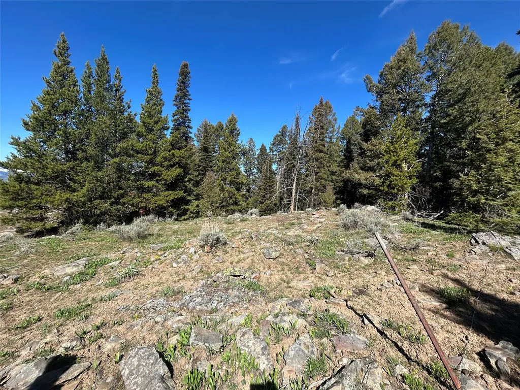 384 Crevice Mountain Road Gardiner MT 59030