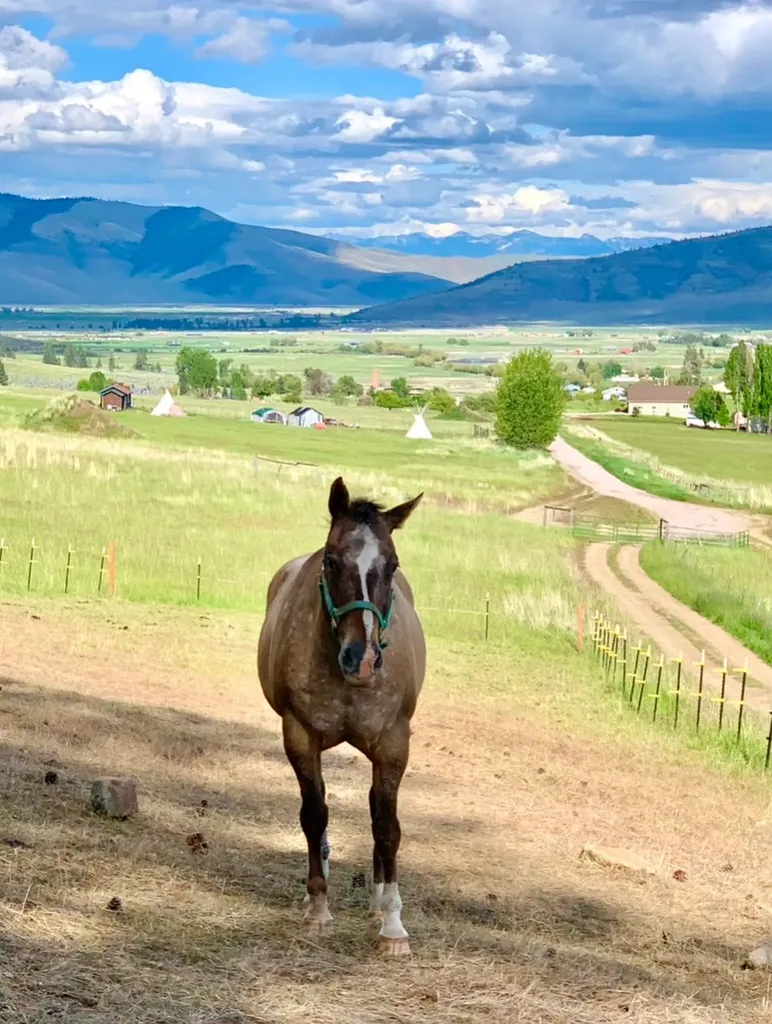 40 Maillet Lane Hot Springs MT 59845
