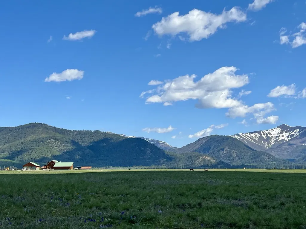 8334 Cooper Lake Road Ovando MT 59854