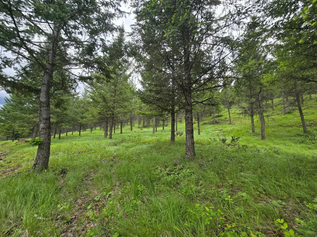 Parcel C Lake Othorp Road Rexford MT 59930