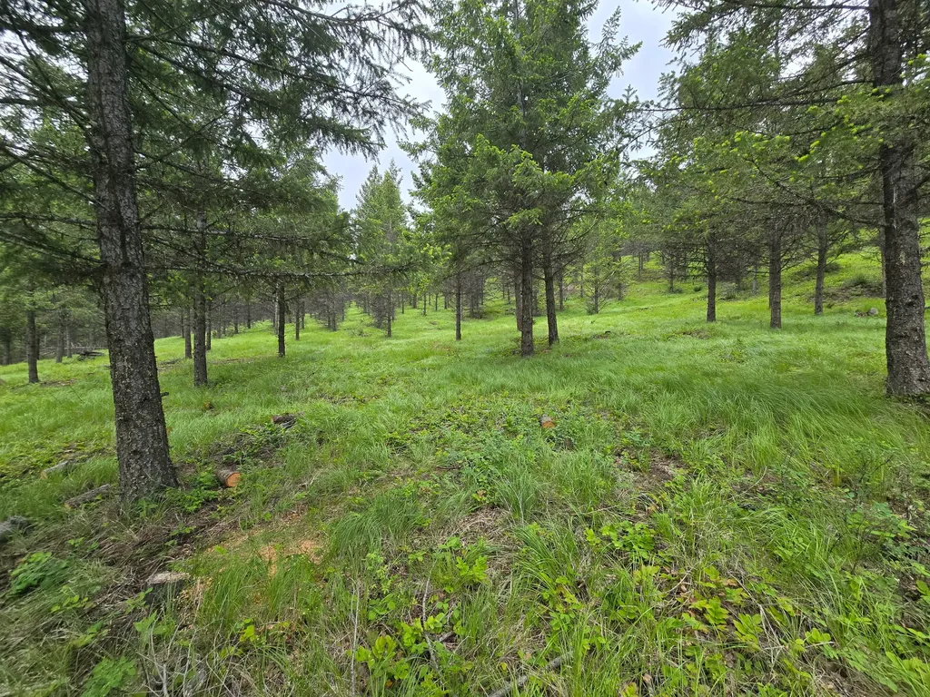 Parcel C Lake Othorp Road Rexford MT 59930