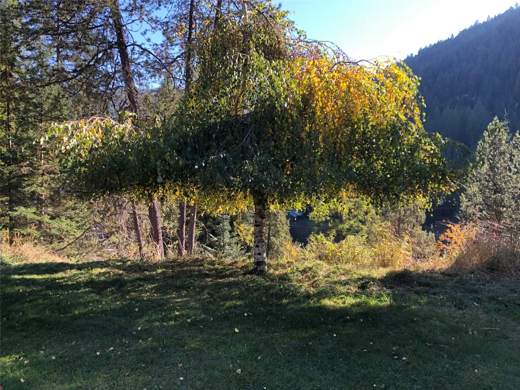 2 Starvation Lane Thompson Falls MT 59873
