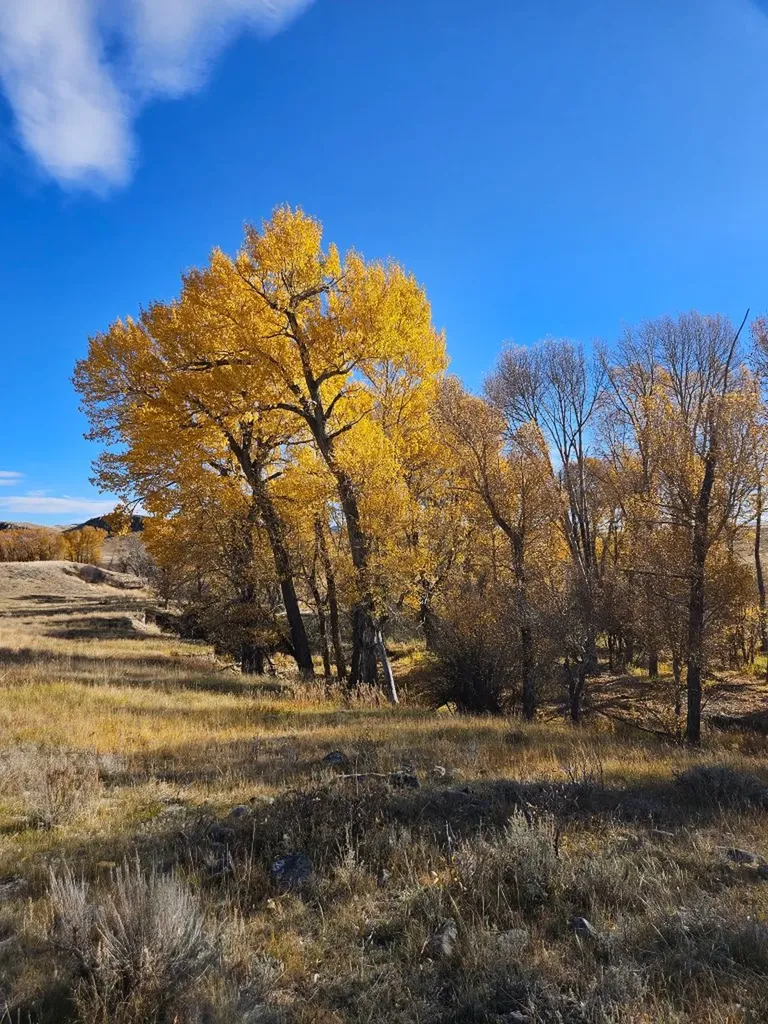 255 Canyon Road White Sulphur Springs MT 59645