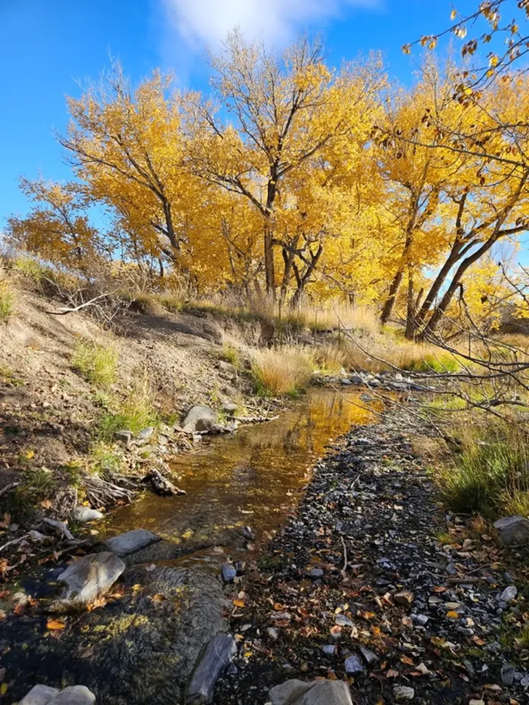 255 Canyon Road White Sulphur Springs MT 59645